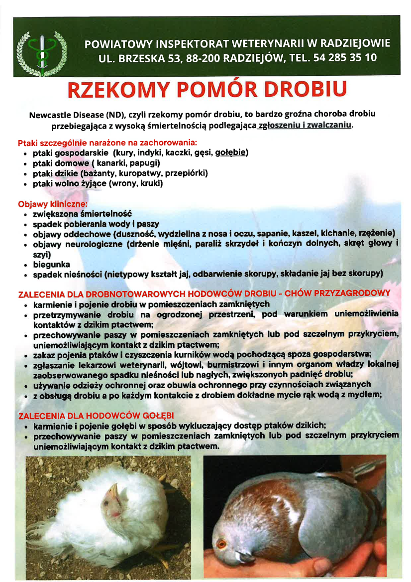 Ryzyko wystąpienia wysoce zjadliwej grypy pataków (HPAI) i rzekomego pomoru drobiu (ND)
