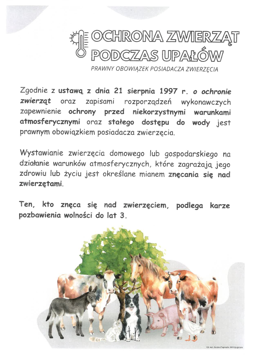 Ochrona zwerząt podczas upałów - prawny obowiązek posiadaczy zwierzęcia 