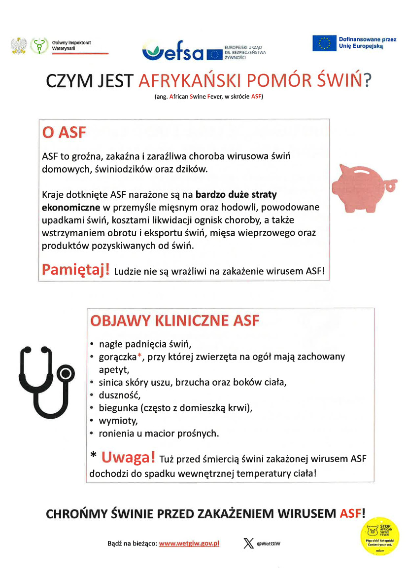 Informacja - CZYM JEST AFRKAŃSKI POMÓR ŚWIŃ ?