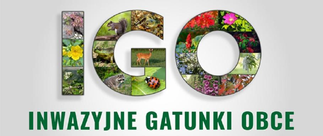 Inwazyjne gatunki obce – co powinien wiedzieć każdy mieszkaniec ?